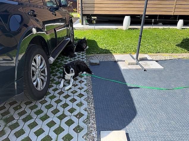 Mobilhome: Dauercampingplatz mit Wohnrecht – Gebraucht aus Mumpf von Robynie 1