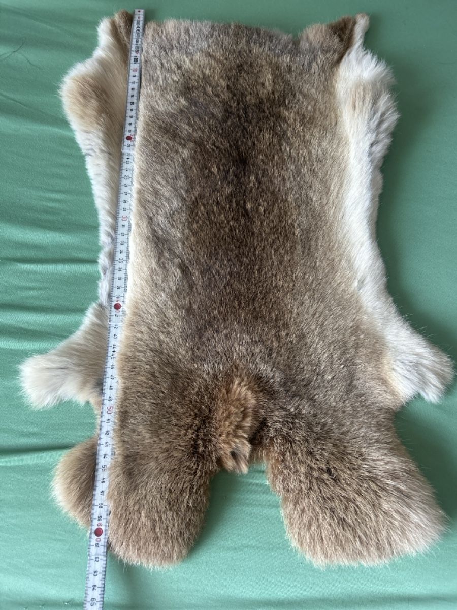 Tapis: Fellteppich Hase (I7) – D'occasion à Aarau par bro_9zsg 2
