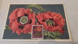 1959 FDC  Maximumkarte Pro Juventute 20 Rp. Mohn