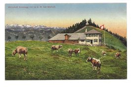 Wirtschaft Kreuzegg (SG) Toggenburg ob Wattwil - Kühe - 1921