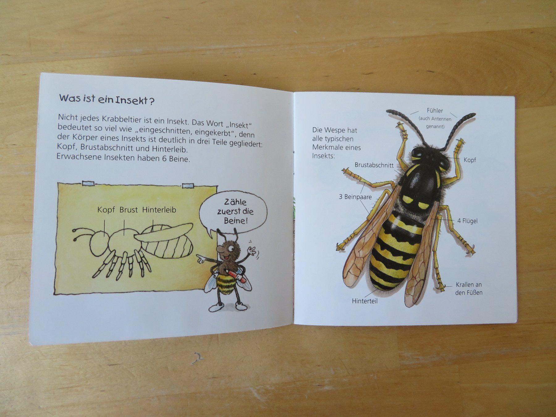 Bücher: WIESO? WESHALB? WARUM? Minis – Gebraucht aus Zürich von piroma 4