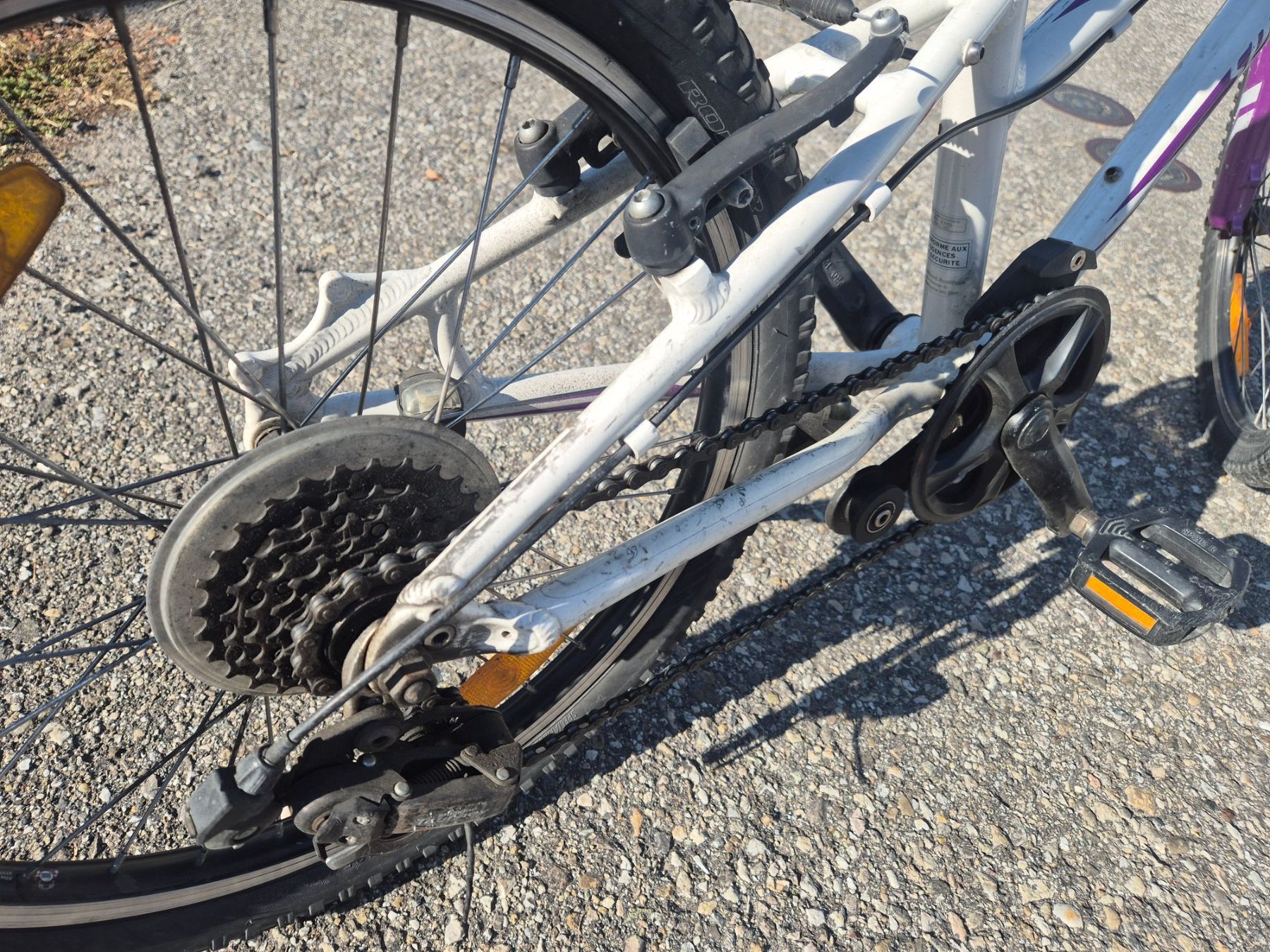 Specialized Biciclette: Kindervelo 20" Specialized – Usato da Weier im Emmental venduto da BigBalloon 3