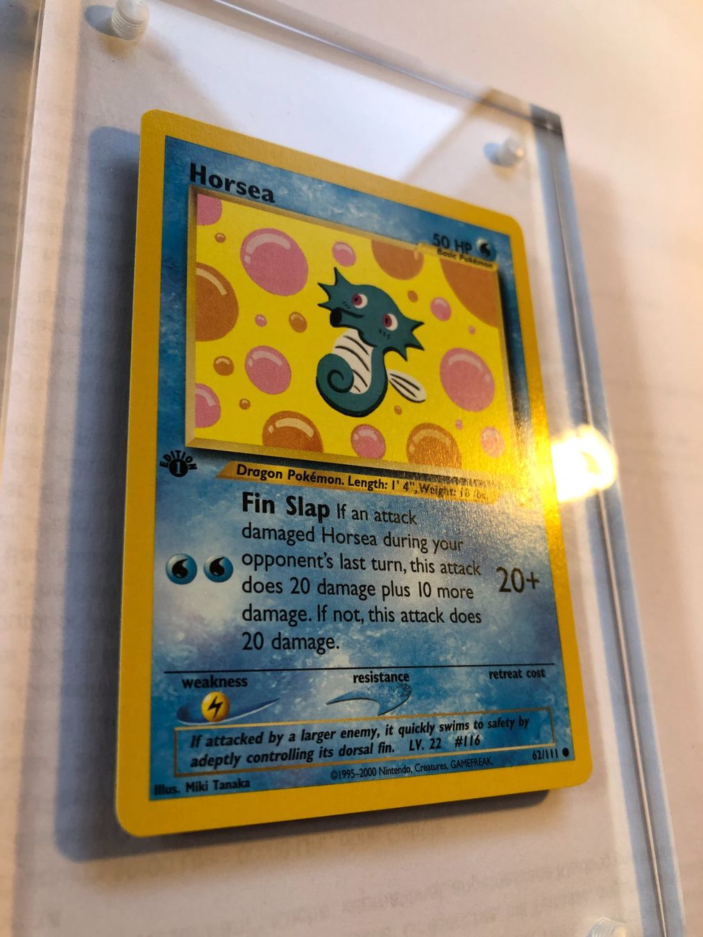 Sammelbilder & Trading cards: Horsea 1st Neo Genesis - MINT - ab 1.- – Gebraucht aus Giubiasco von dan_pr8b 1