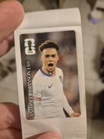 Cola Panini Antonee Robinson