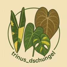 Profile image of dow_9ssc