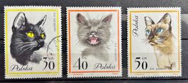 3 Briefmarken Polen Katzen Motiv