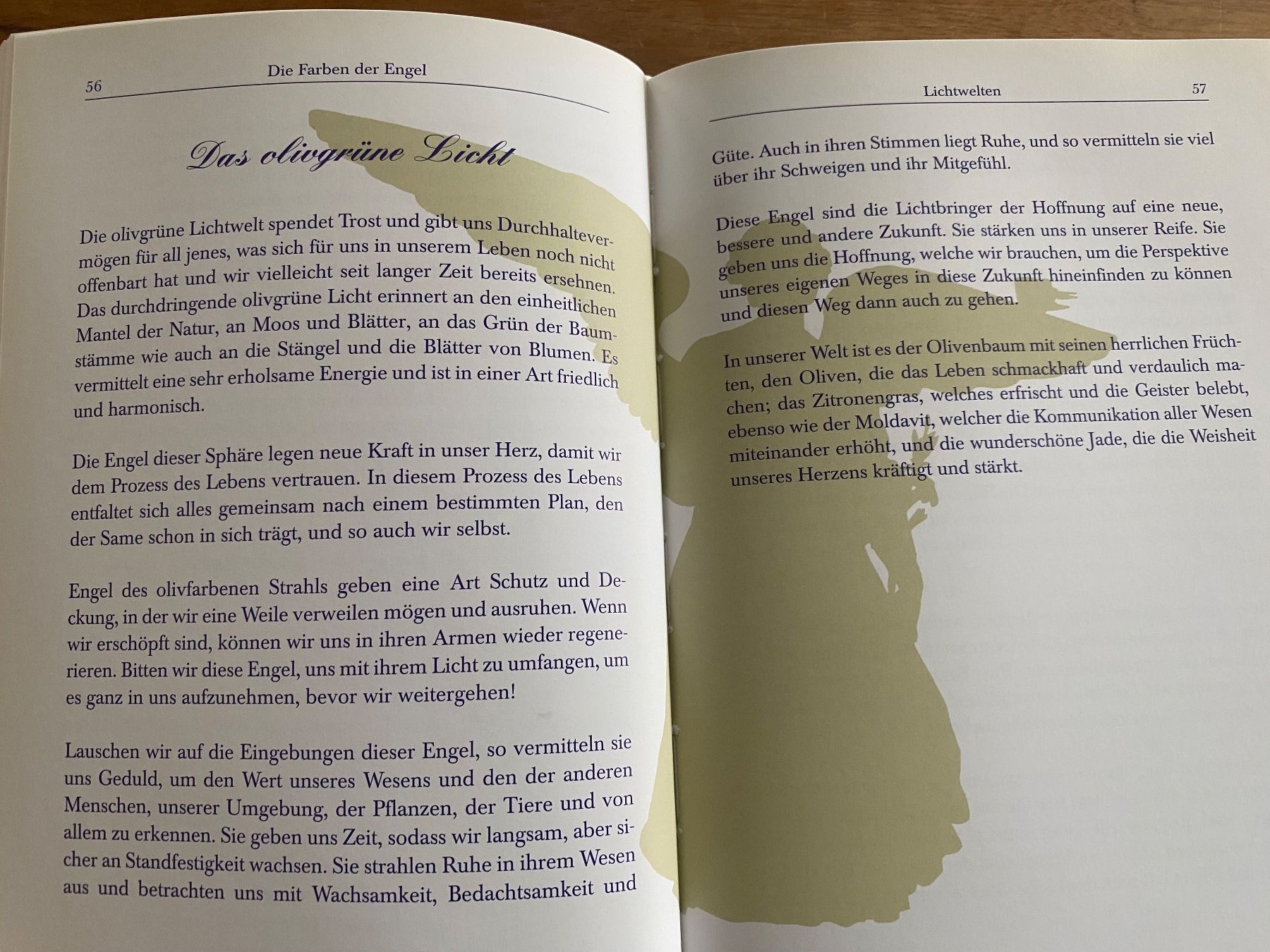 Bücher: Die Farben der Engel - Das Licht der 14 Strahlen – Gebraucht aus Horw von dreamsofacid 6