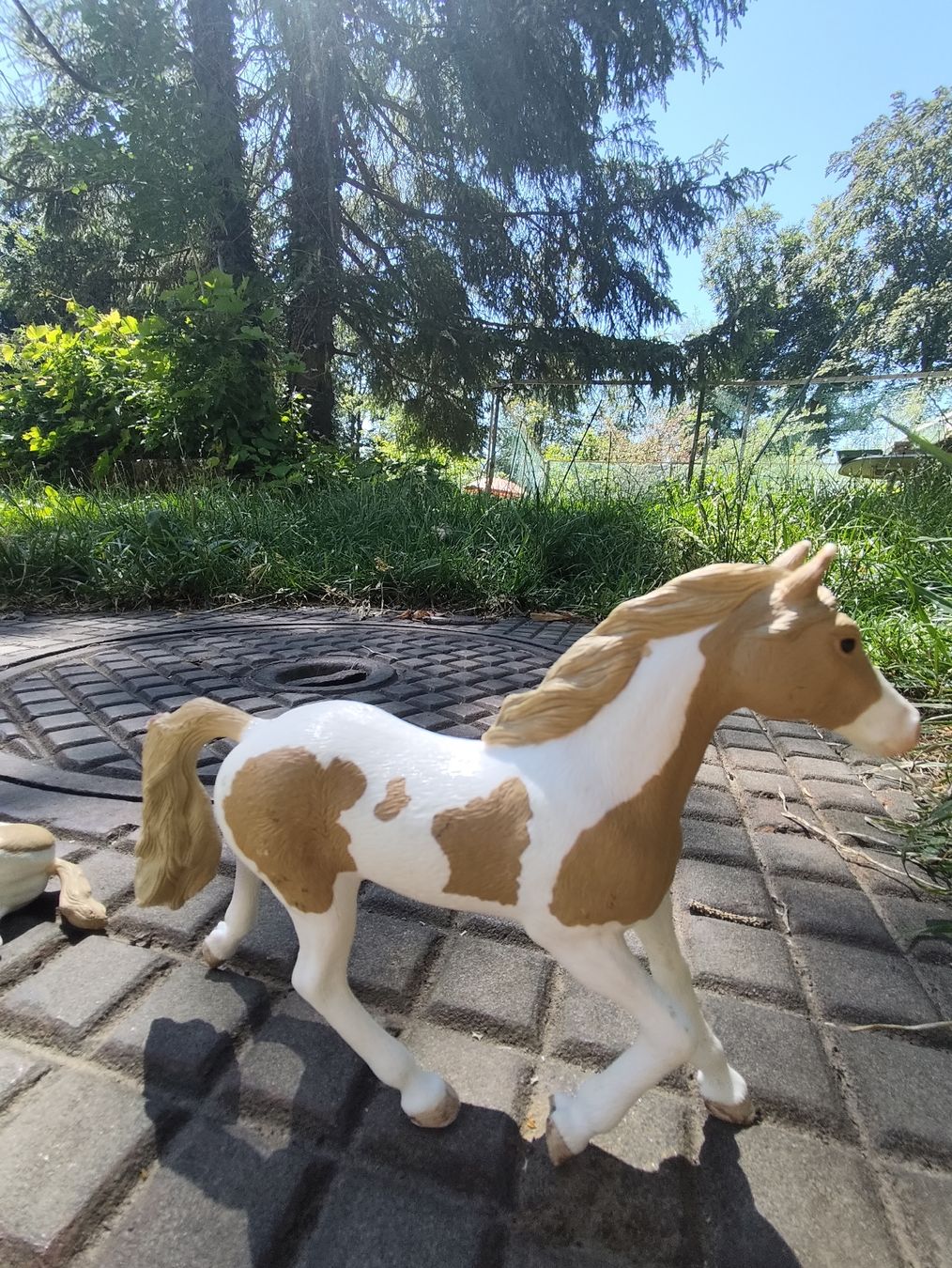 Schleich Giocattoli: 5 Schleich Pferde  – Usato da Wald ZH venduto da Enyafay 3