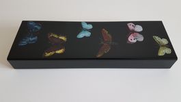 Fornasetti Aufbewahrungsbox