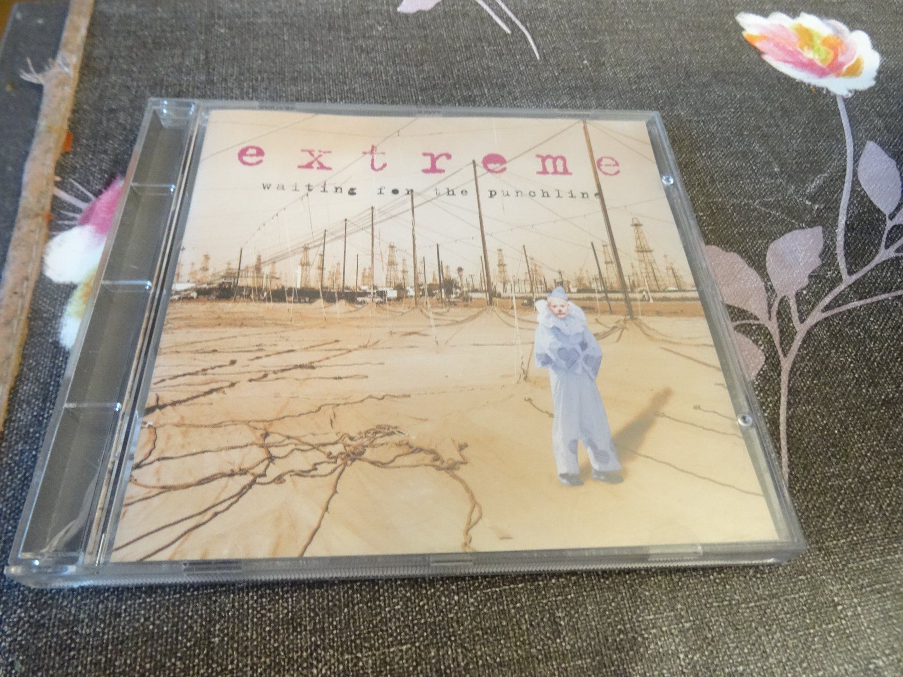 CD: Extreme - Waiting for the Punchline CD – Usato da Olten venduto da Disc-Ausverkauf