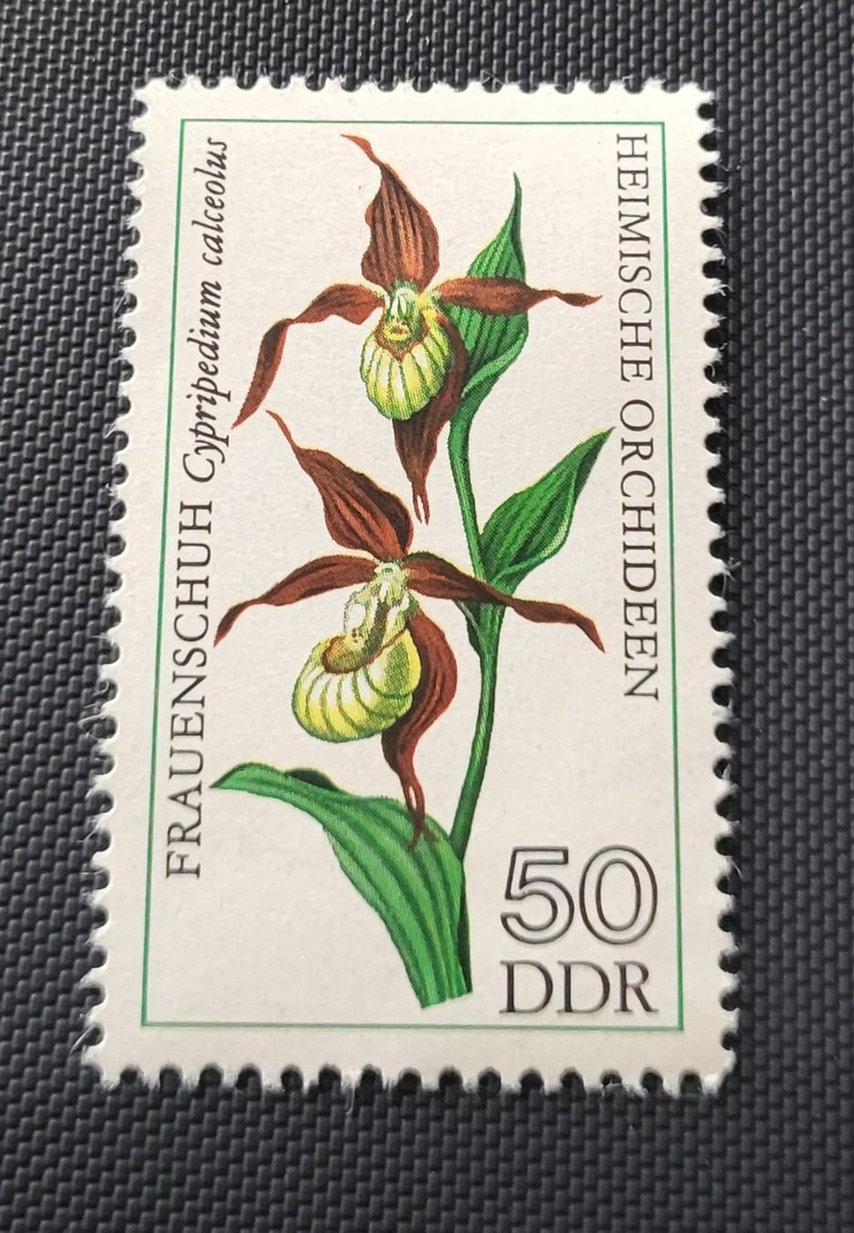 Tutti i francobolli: DDR 1976 briefmarke – Usato da St Gallen venduto da Stampsalshobby