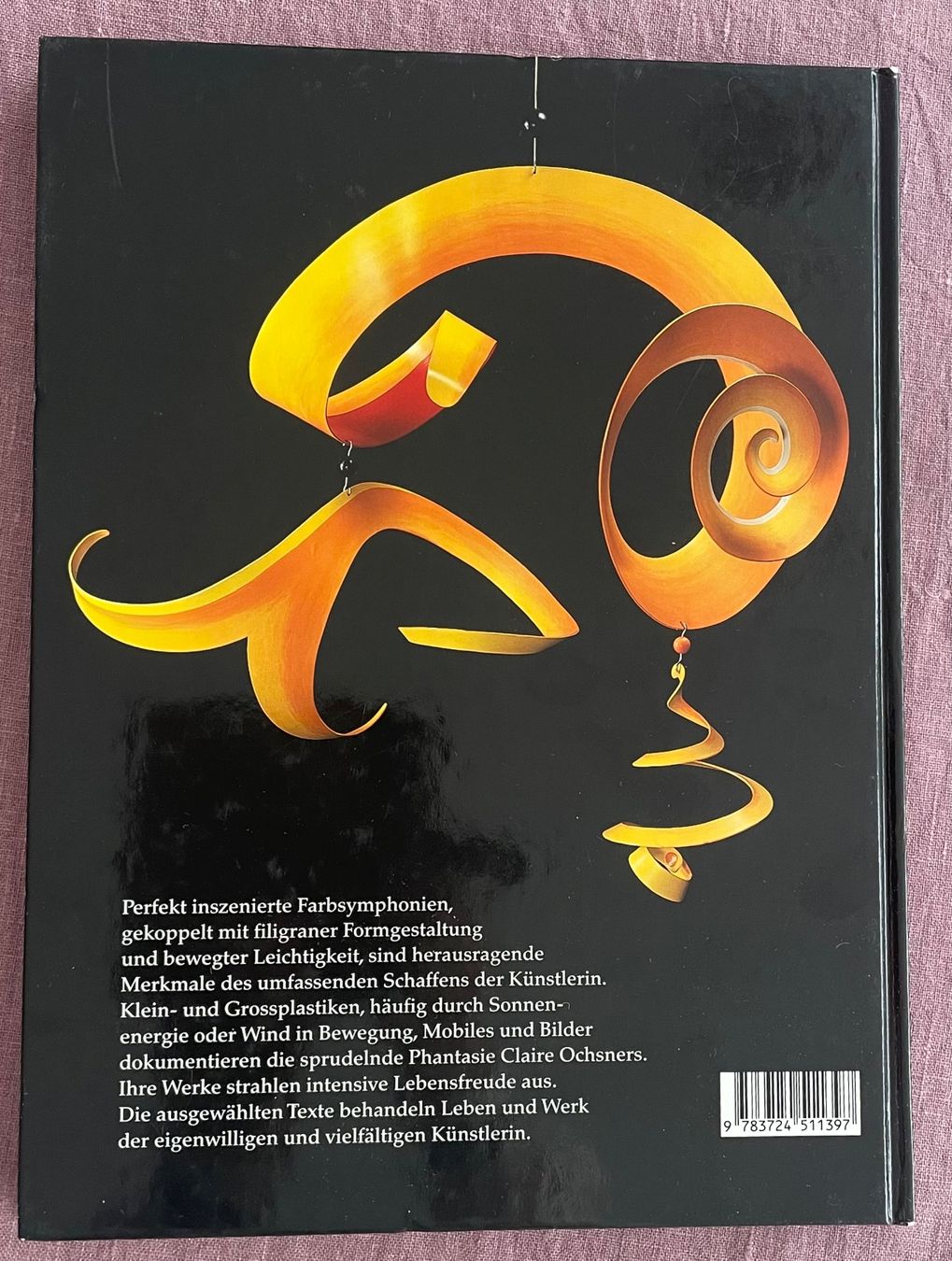 Libri: Buch Skulpturen Claire Ochsner – Nuovo (secondo la descrizione) da Kriens venduto da Mayang 5