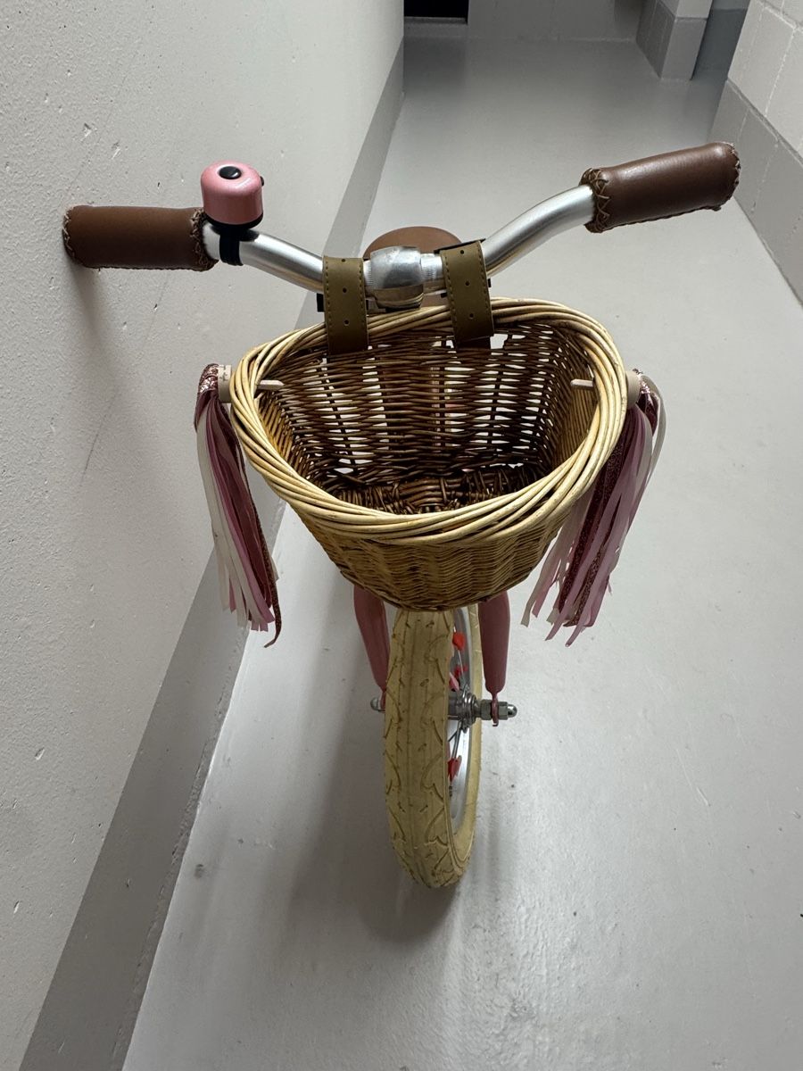 Siech Biciclette: Laufrad Siech Cycles Balance 12" Rosé  Neu – Nuovo (secondo la descrizione) da Belp venduto da Secondhand11 3