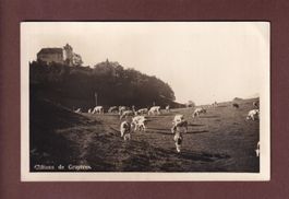 VACHES et château de Gruyères - 1930