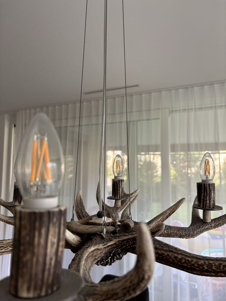 Lampen: Hirschgeweihleuchter – Gebraucht aus Sarnen von manuch05 3