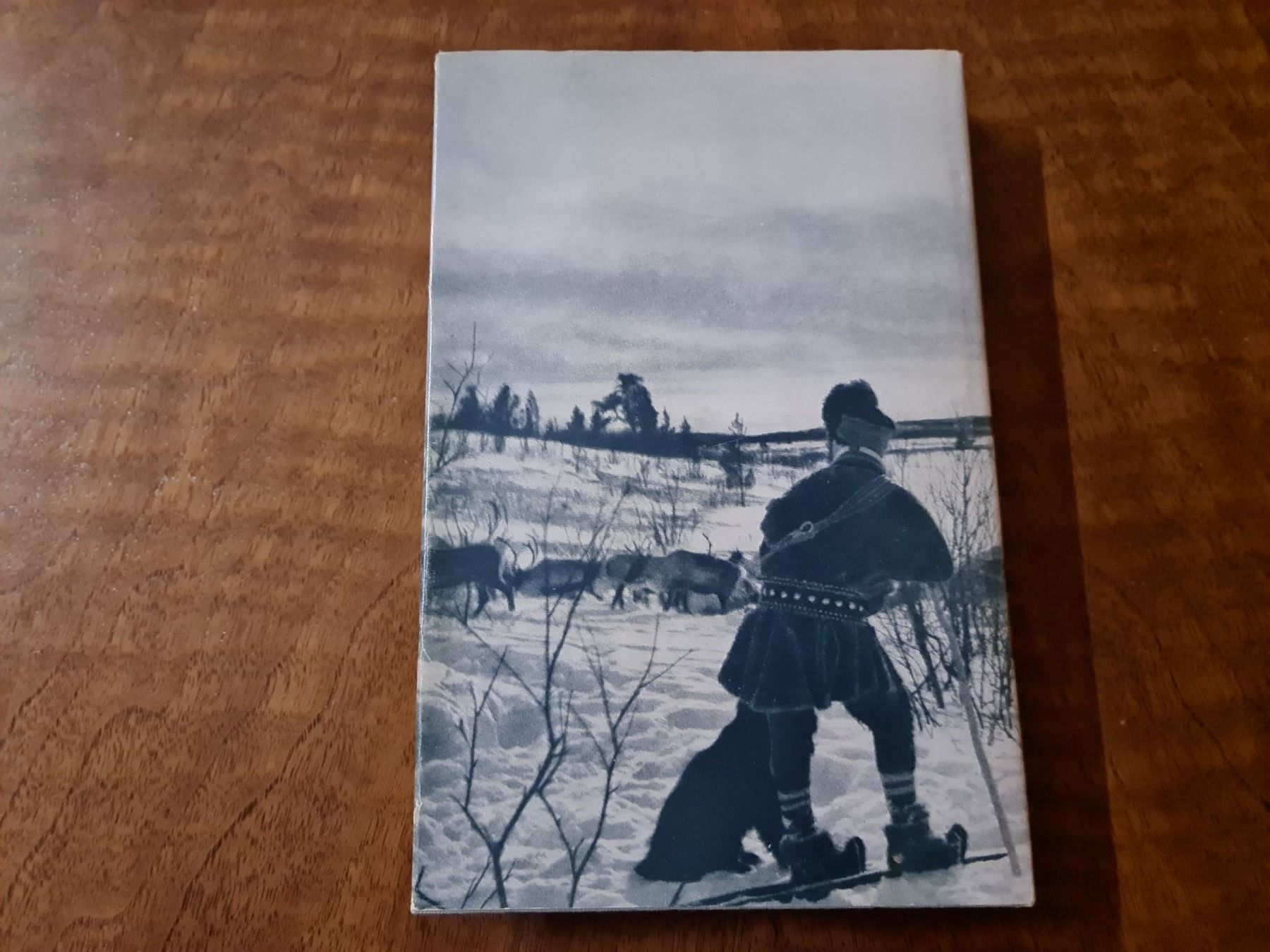 Libri: Der Zug der Renntiere – Usato da Erstfeld venduto da Mario_boe0 4