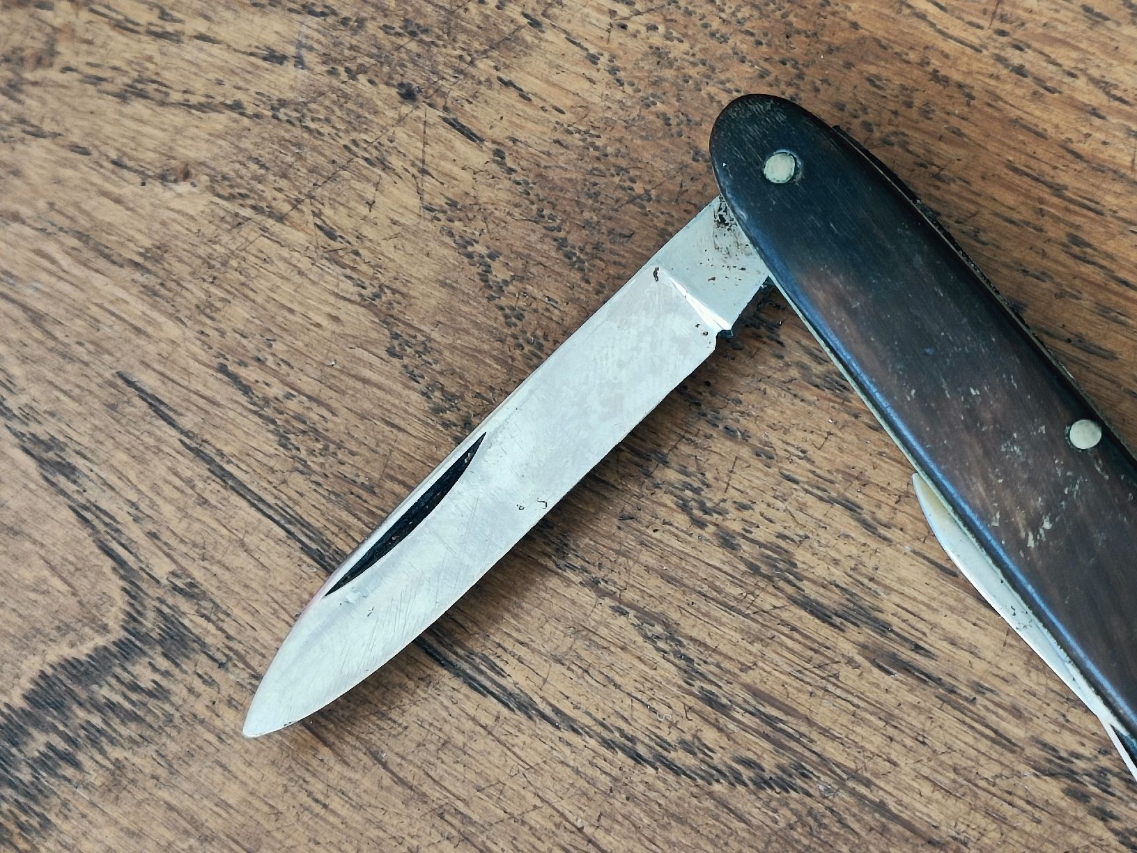 Victorinox Taschenmesser: Altes Horn Sackmesser  – Gebraucht aus Brugg AG von Ente015 4
