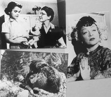 7 Fotos ZDF/SF-DRS, aus deutschen Spielfilmen von 1953
