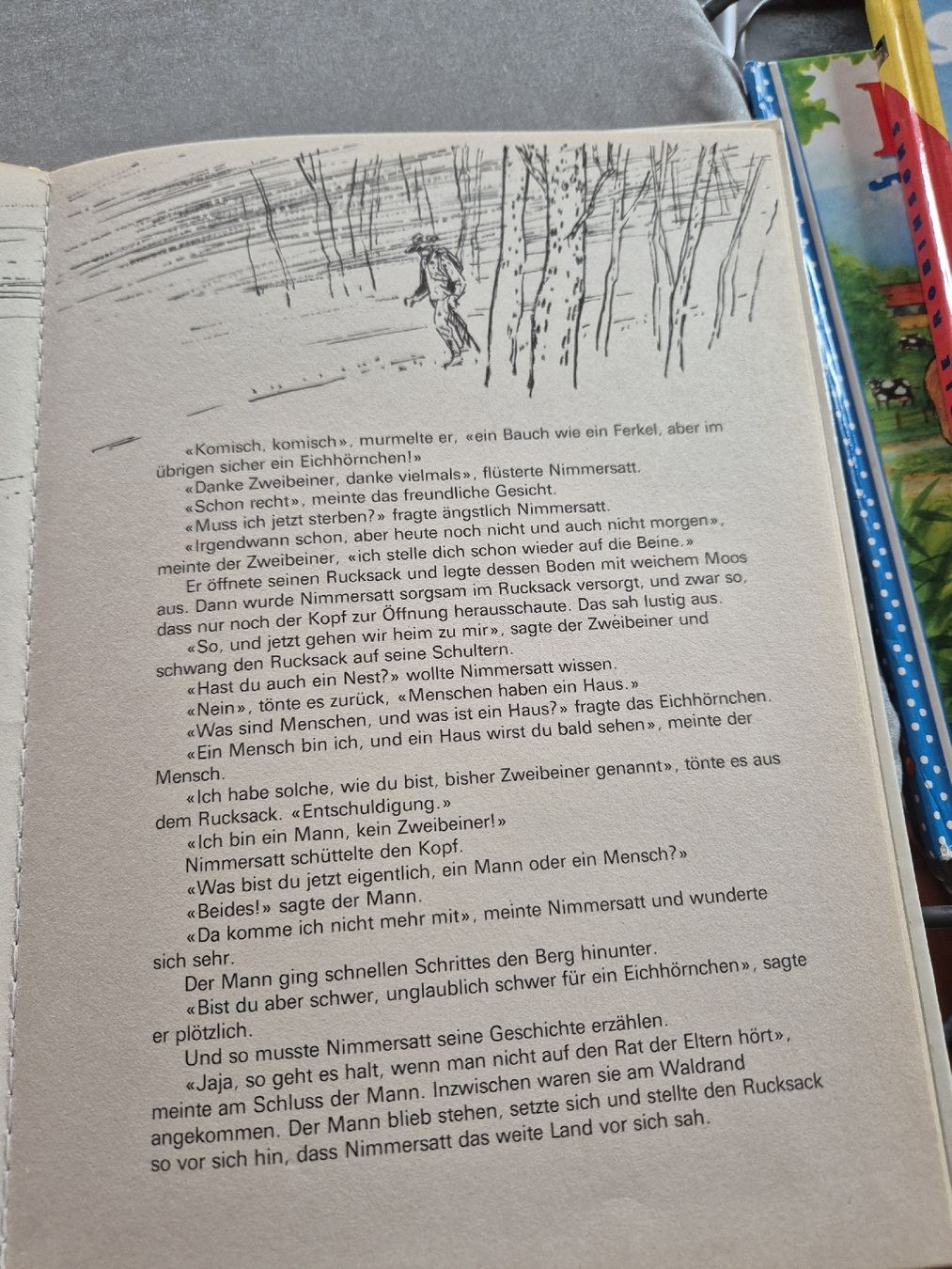 Libri: Kinderbuch Eichhörnchen Nimmersatt  – Usato da Balterswil venduto da bischoftanja 2