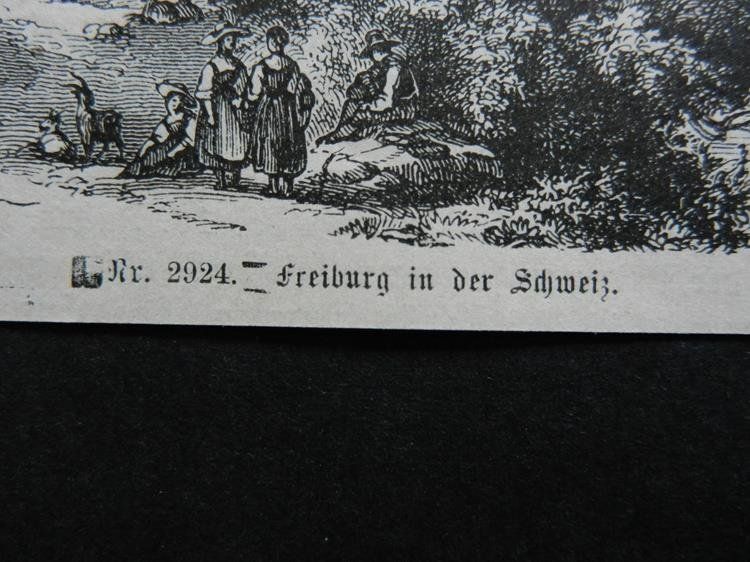 Incisioni: Fribourg Freiburg – Usato da Risch venduto da Rischli15 3