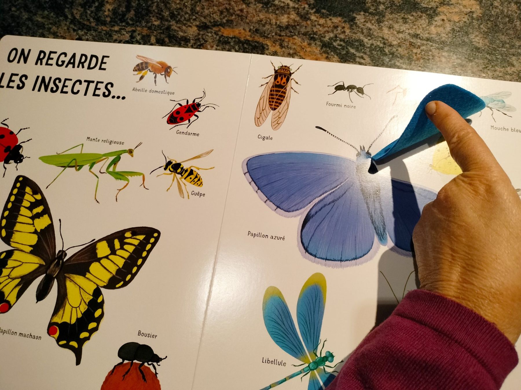 Libri: Dans mon jardin avec de grands flaps en feutrine – Usato da Cortaillod venduto da rozinna 4