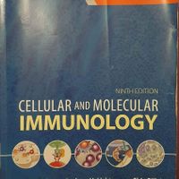 Cellular and Molecular Immunology 9. Auflage (Abbas)