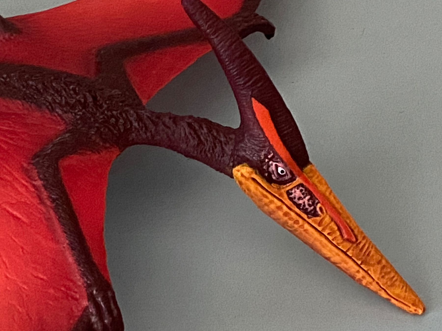 Schleich Giocattoli: SCHLEICH Figurine Ptéranodon – Nuovo (secondo la descrizione) da Genève venduto da kik_8jd6 2