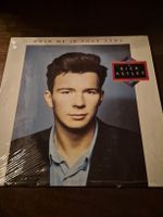 Rick Astley Hold Me In Your Arms Vinyl LP