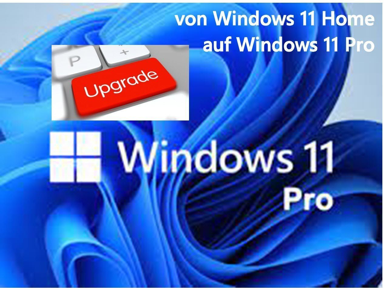 Microsoft Software: Windows 11 Home auf Windows 11 Pro (Windows Upgrade) – Usato da Goldau venduto da mansouri.hediger