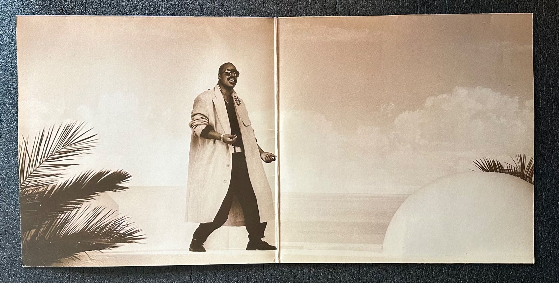 Dischi in vinile: LP - Stevie Wonder - In Square Circle – Usato da Breganzona venduto da Onairda75 2