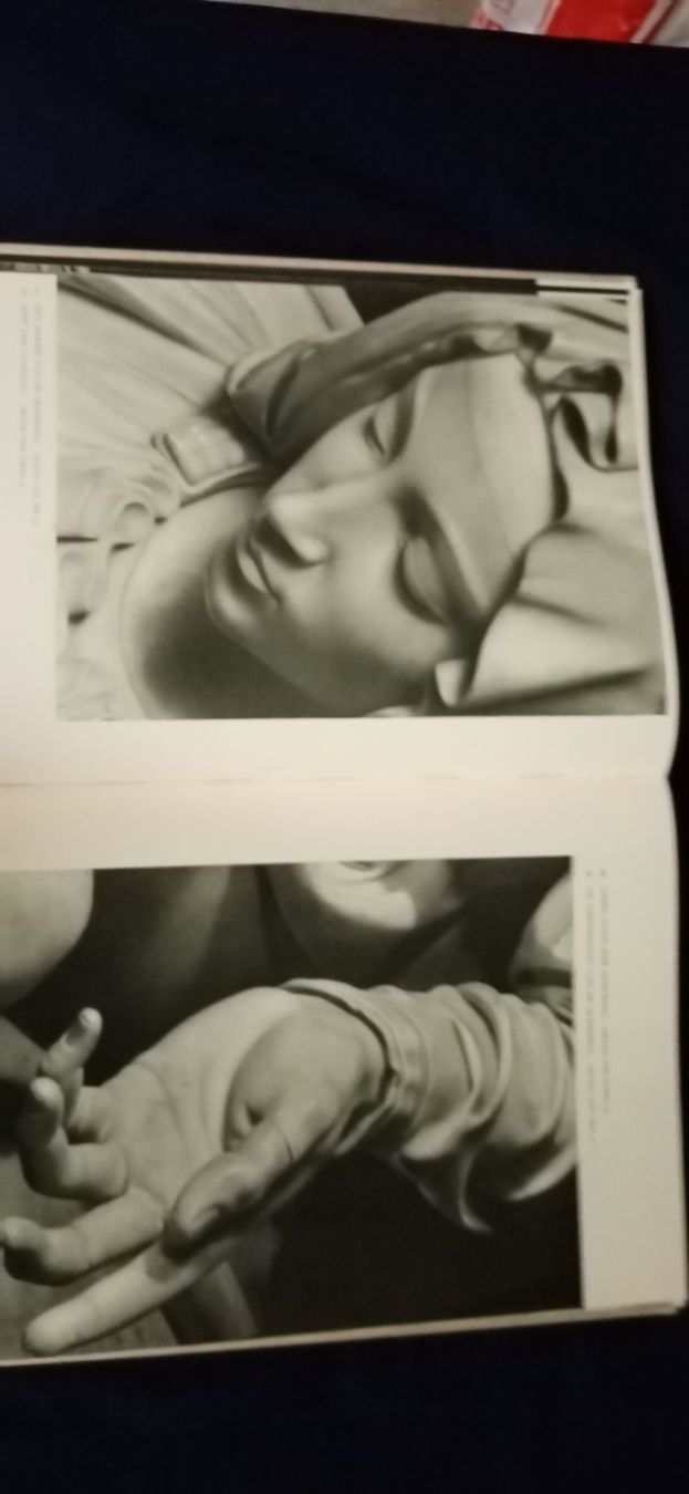 Libri: Michelangelo, Bildband – Usato da Büsingen venduto da Flohminator 8