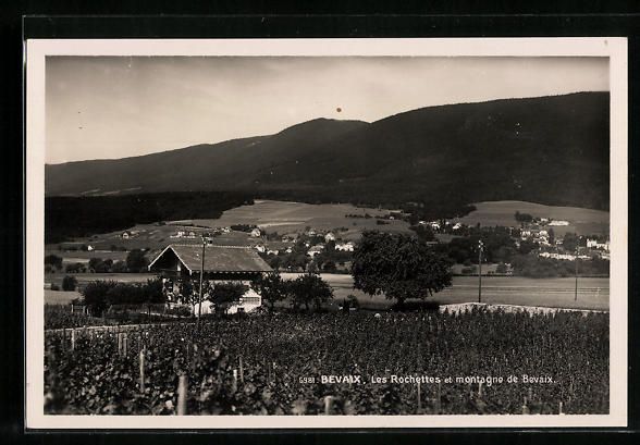 Cartoline postali: Bevaix, Les Rochettes et montagne de Bev – Usato da Berlin venduto da bartko-reher