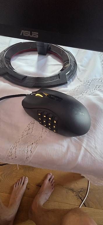 Souris: Razer Naga X Maus mit Zifferblock. – D'occasion à Egliswil par fab_tb28