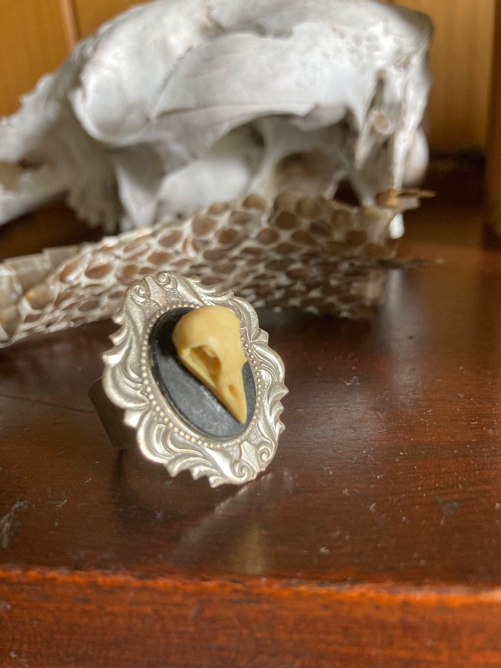 Anelli: Ring mit Vogelschädel (Kunststoff—Einzigartiges Schmuckstück – Usato da Ranflüh venduto da SwR_E19