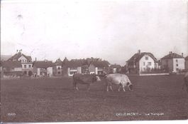 DELEMONT, la turquie