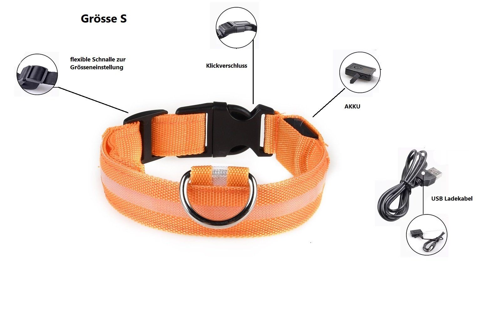 Leine & Halsband: LED Hunde Leuchthalsband - Grösse S in Orange – Neu und originalverpackt aus Werdenberg von EXA-Animal-World
