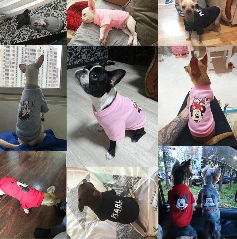 Abbigliamento: Hundemantel Hundepullover – Nuovo e nell'imballaggio originale da Uerkheim venduto da Kaufoption 4