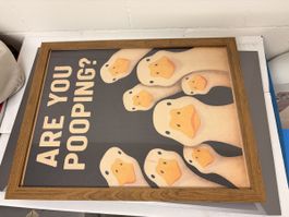 Wandbild Enten Are You Pooping gerahmt Holzrahmen gebraucht
