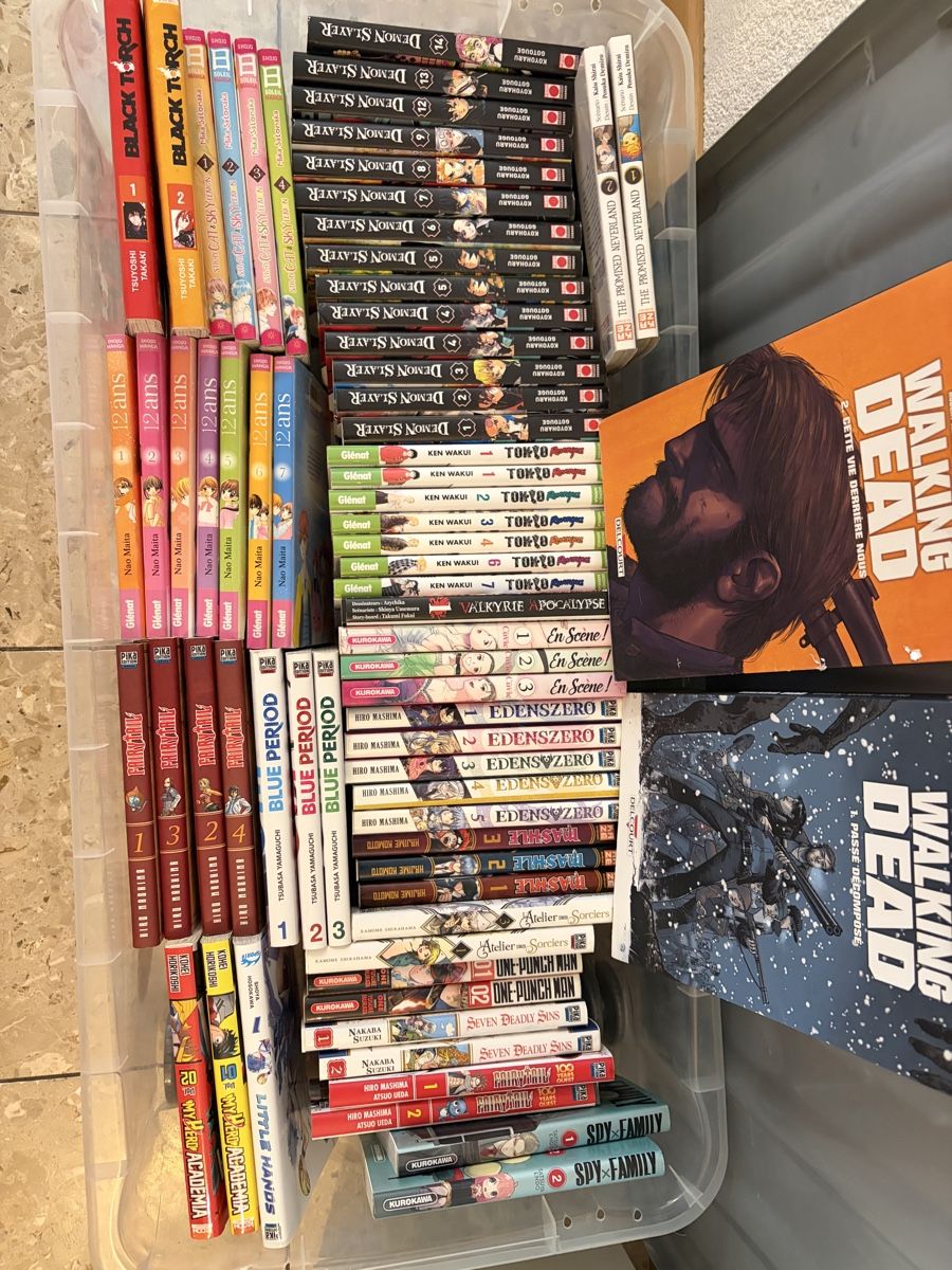 BD: Divers Mangas – D'occasion à Lully FR par Thieumag