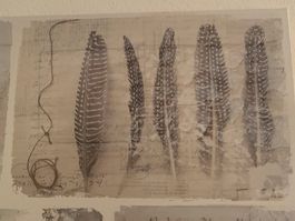 tolles Leinwandbild Federli/Dance