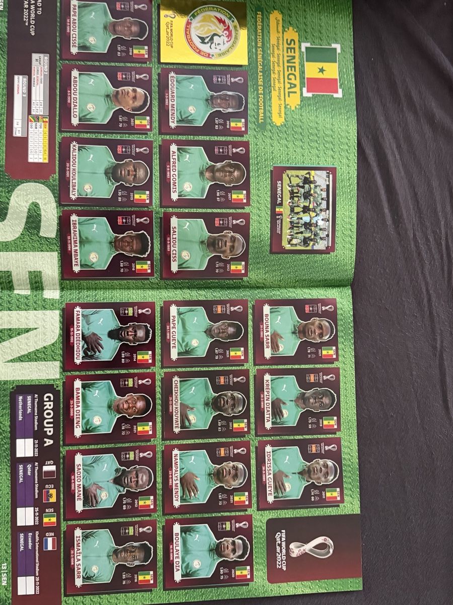 Panini Album: World Cup 2022 Qatar volles Buch – Usato da Brittnau venduto da nicola.suter 5