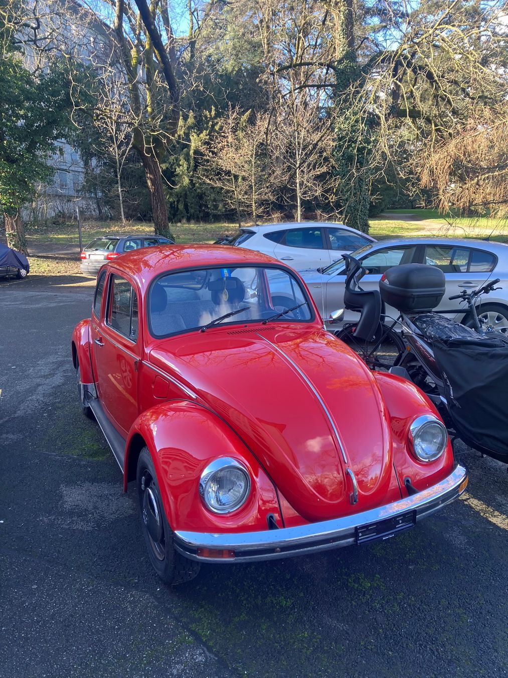 VW Automobili: VW Käfer 1200 - 1985 – Usato da Genève venduto da mar_7ldy 1