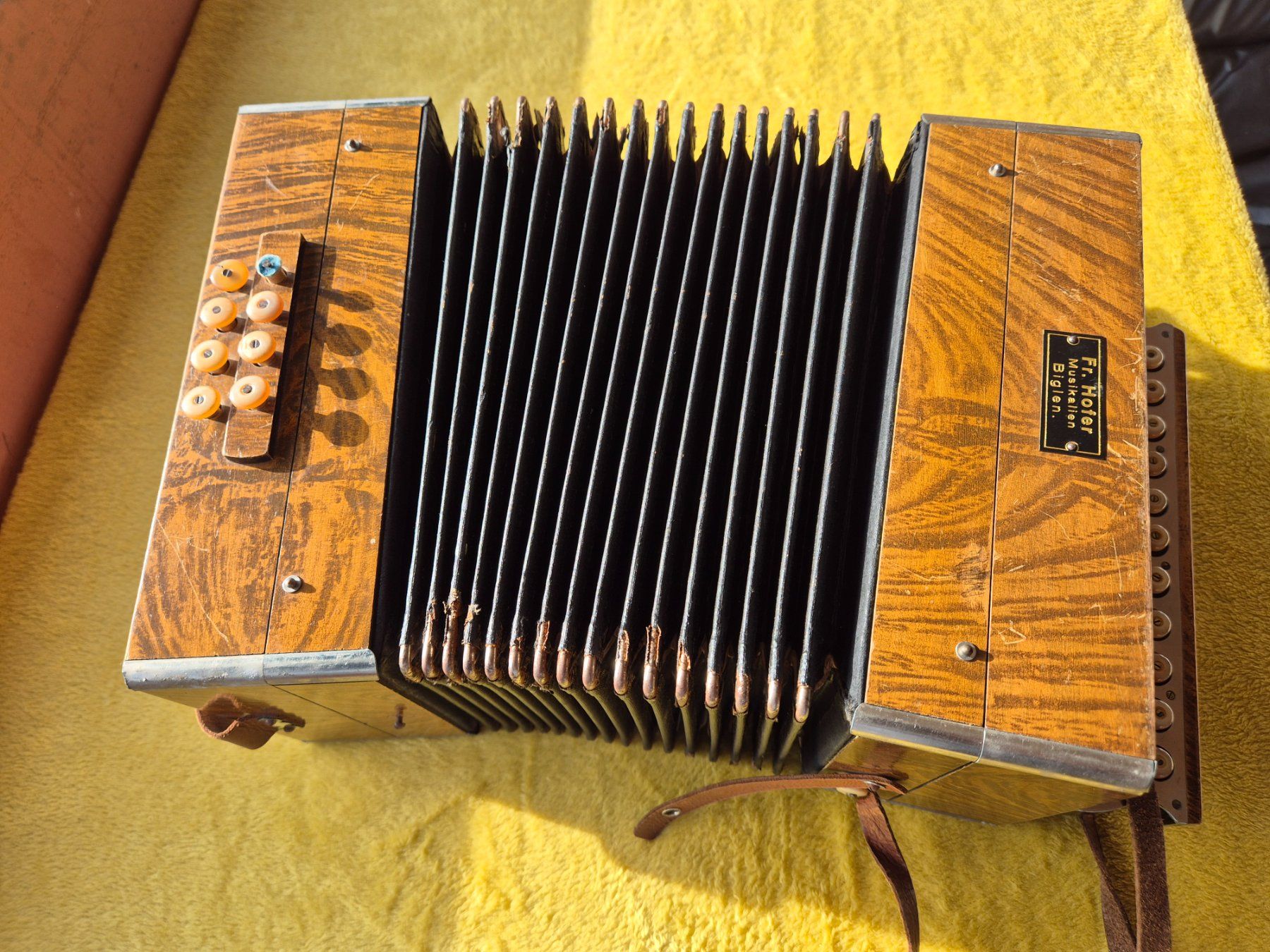 Strumenti musicali: Accordéon ancien – Usato da Monthey venduto da McAuthor 4