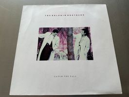THE DOLPHIN BROTHERS LP CATCH THE FALL