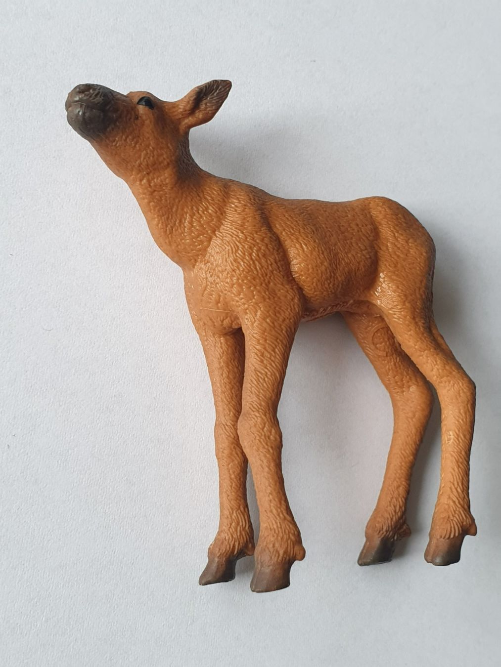 Schleich Statuette: Elch - Junges Tier Schleich – Nuovo (secondo la descrizione) da Mörschwil venduto da spirspi 2