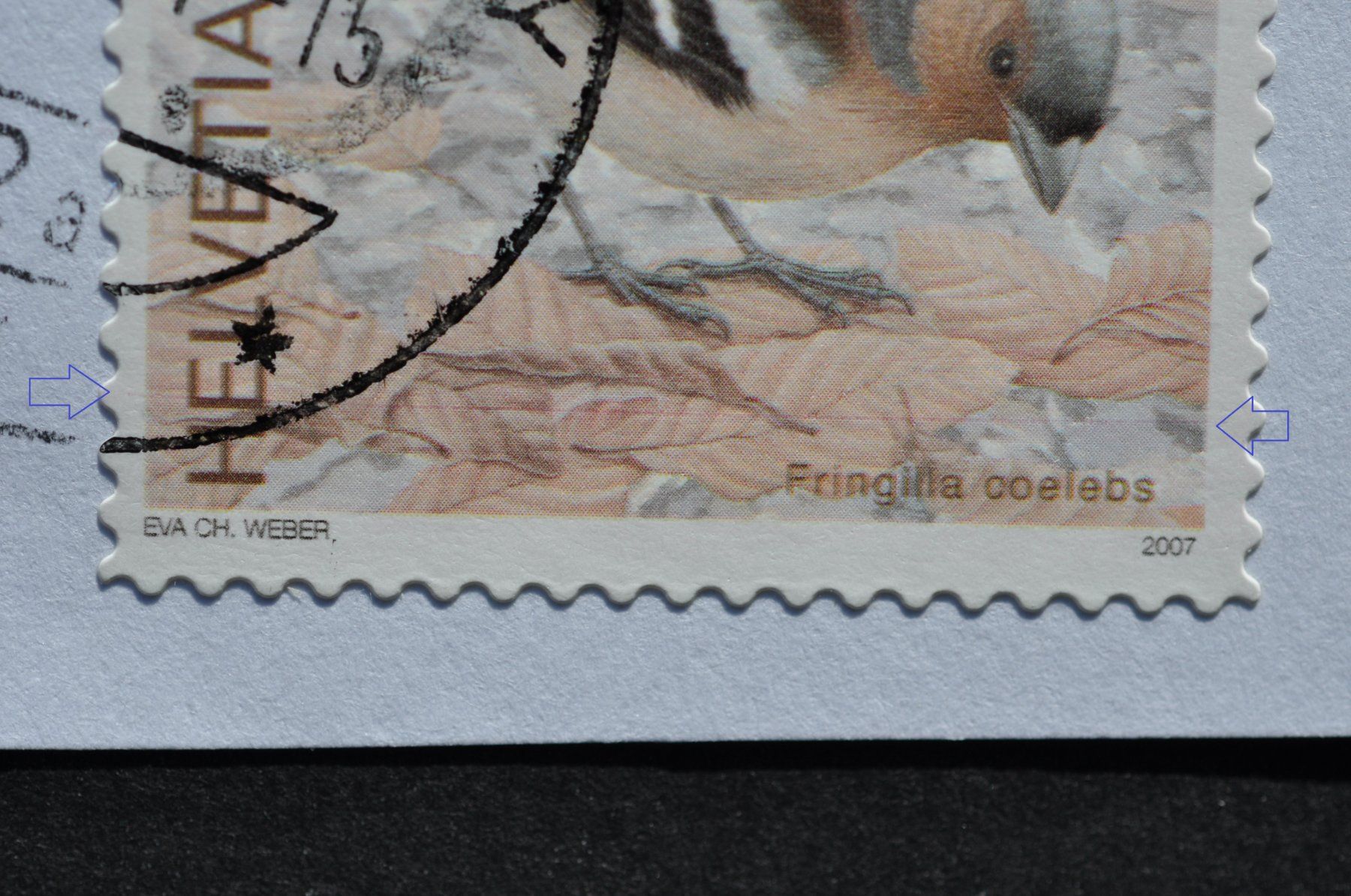 Tutti i francobolli: Abart Buchfink mit rotem Wisch-Strich – Usato da Worb venduto da Buespy