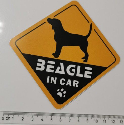 Sticker: Beagle in car   (Aufkleber, PVC) – Nuovo e nell'imballaggio originale da Wilen b. Wollerau venduto da morethanmusic