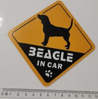 Beagle in car   (Aufkleber, PVC)