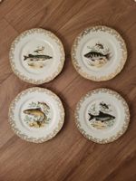4 Limoges France Teller mit Fischmotiv, Top Zustand!