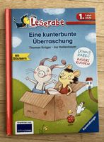 Leserabe: Eine kunterbunte Überraschung